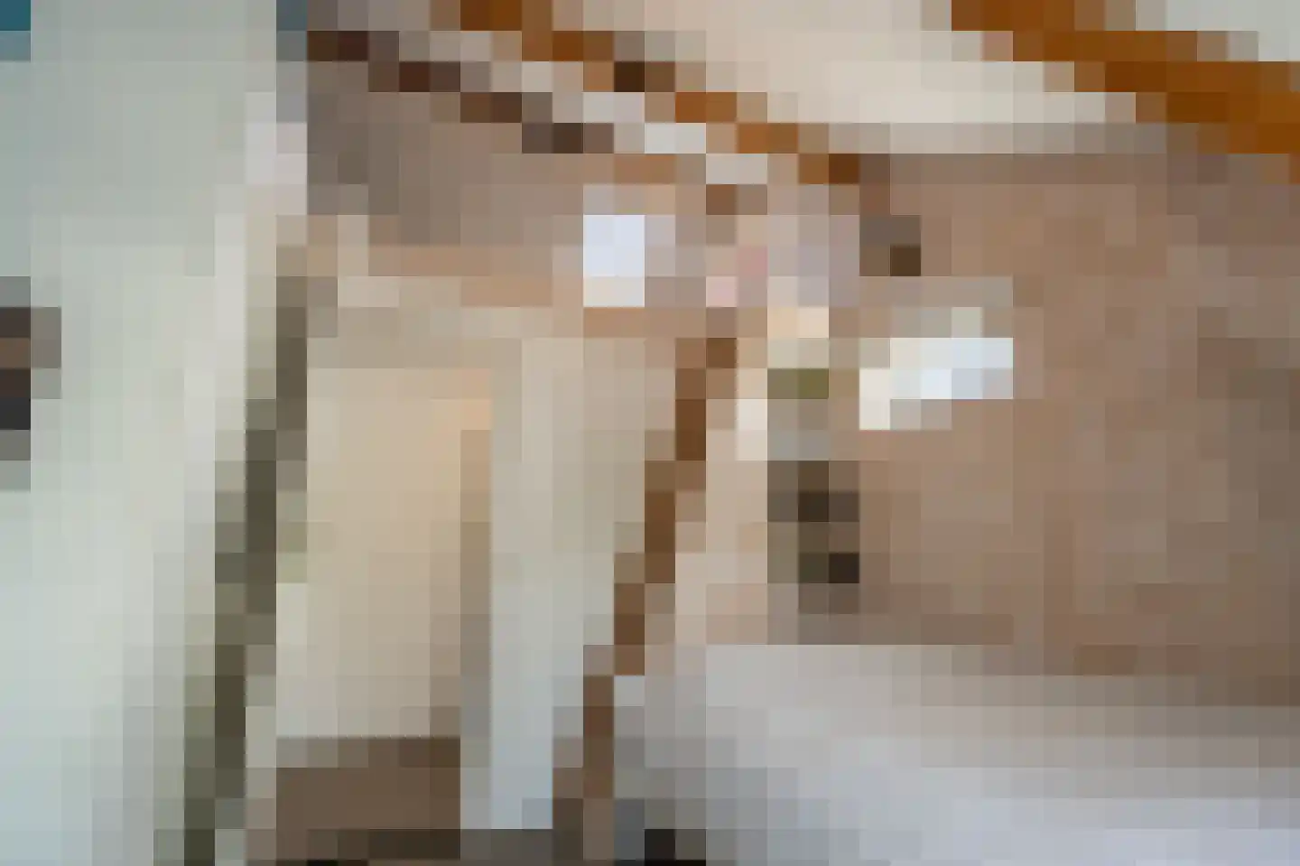 Goidschalxoordsedijk 51 Heinenoord thumbnail 46