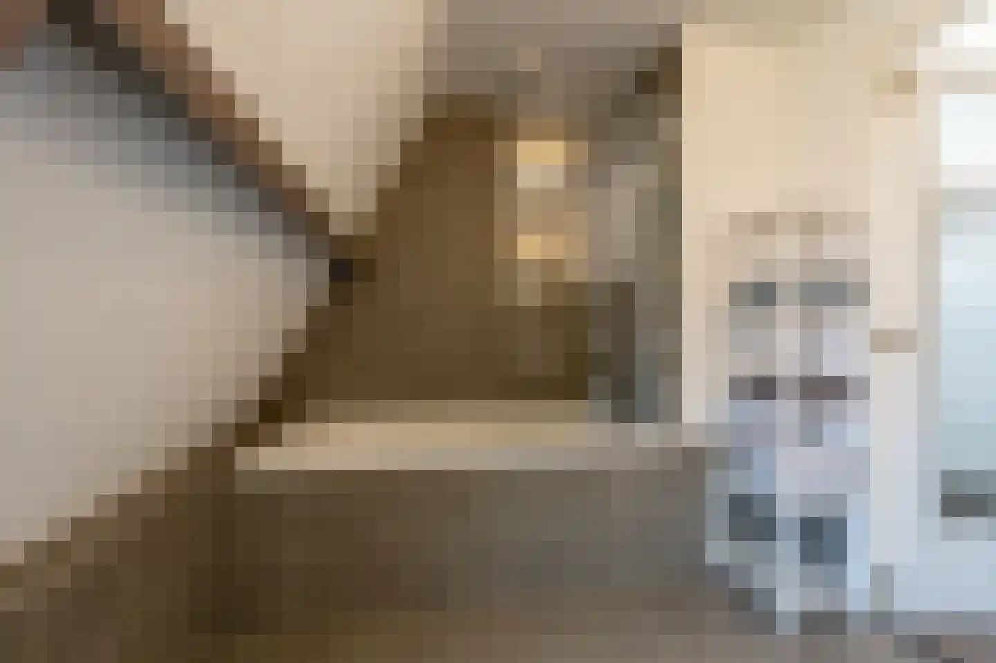 Goidschalxoordsedijk 51 Heinenoord thumbnail 48