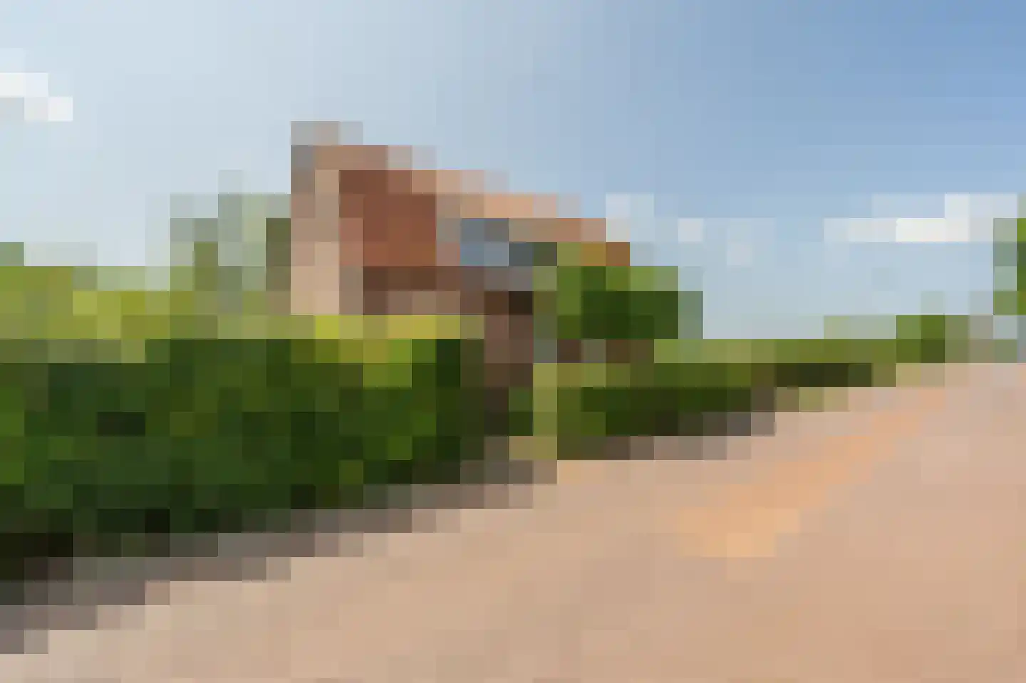 Goidschalxoordsedijk 51 Heinenoord thumbnail 50