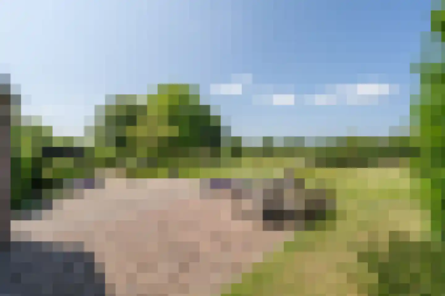 Goidschalxoordsedijk 51 Heinenoord thumbnail 55