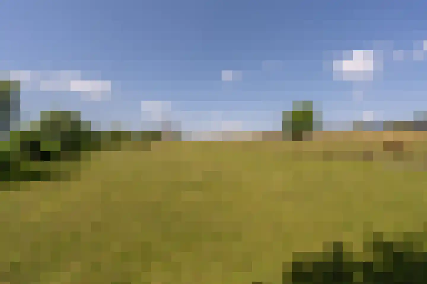 Goidschalxoordsedijk 51 Heinenoord thumbnail 56