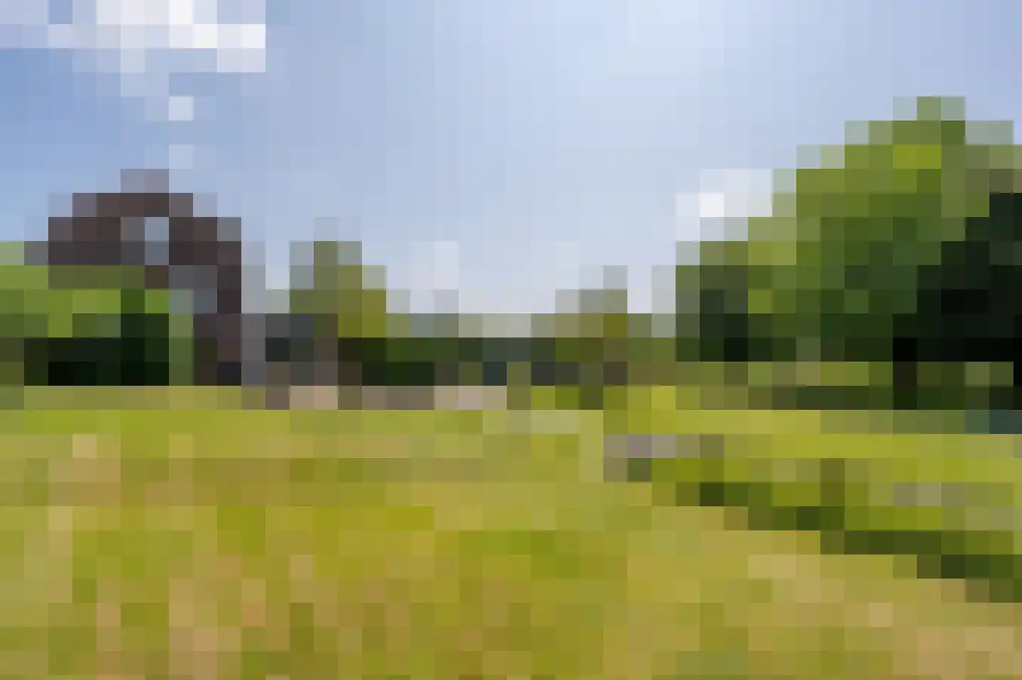 Goidschalxoordsedijk 51 Heinenoord thumbnail 57