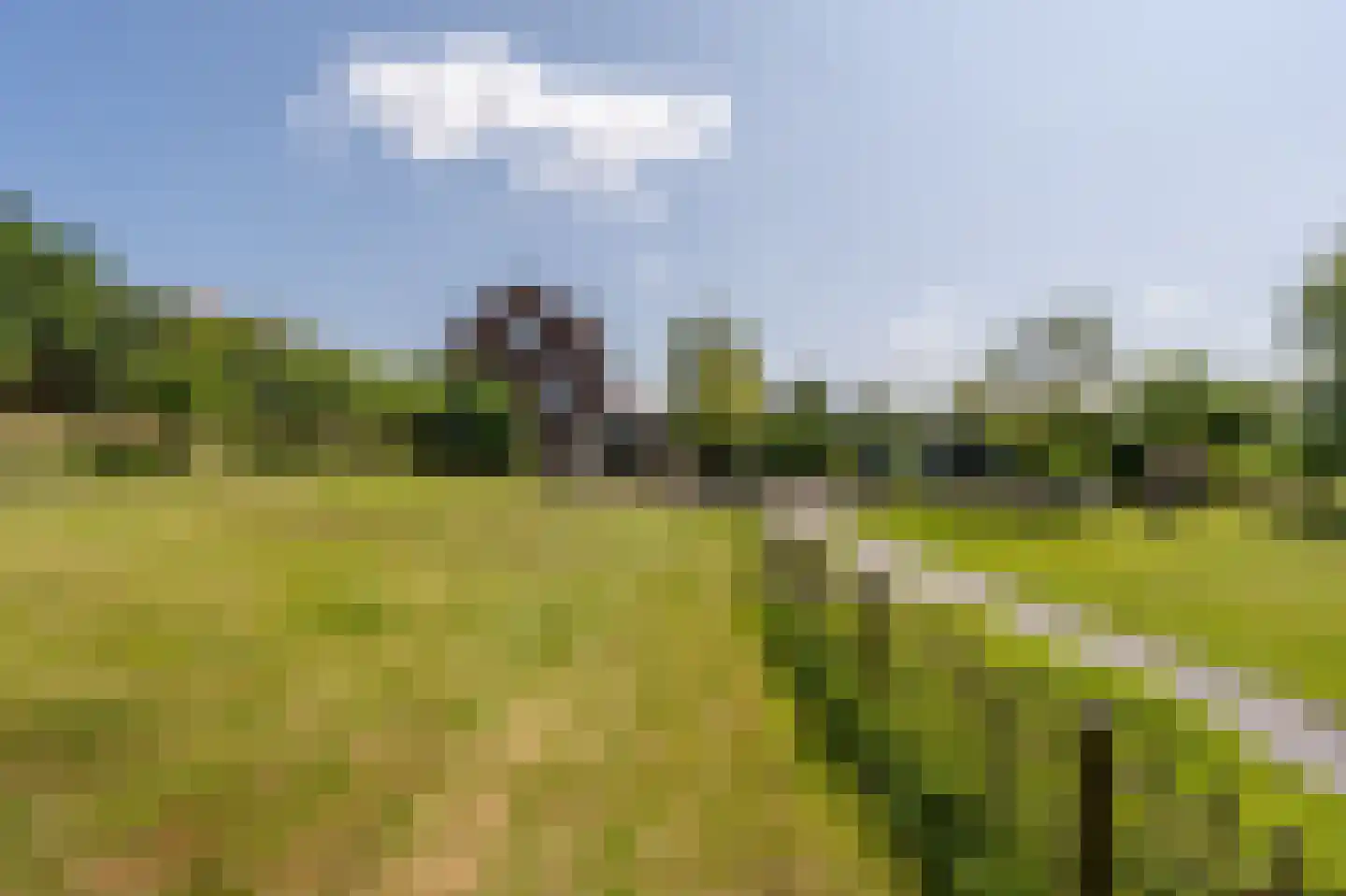 Goidschalxoordsedijk 51 Heinenoord thumbnail 58
