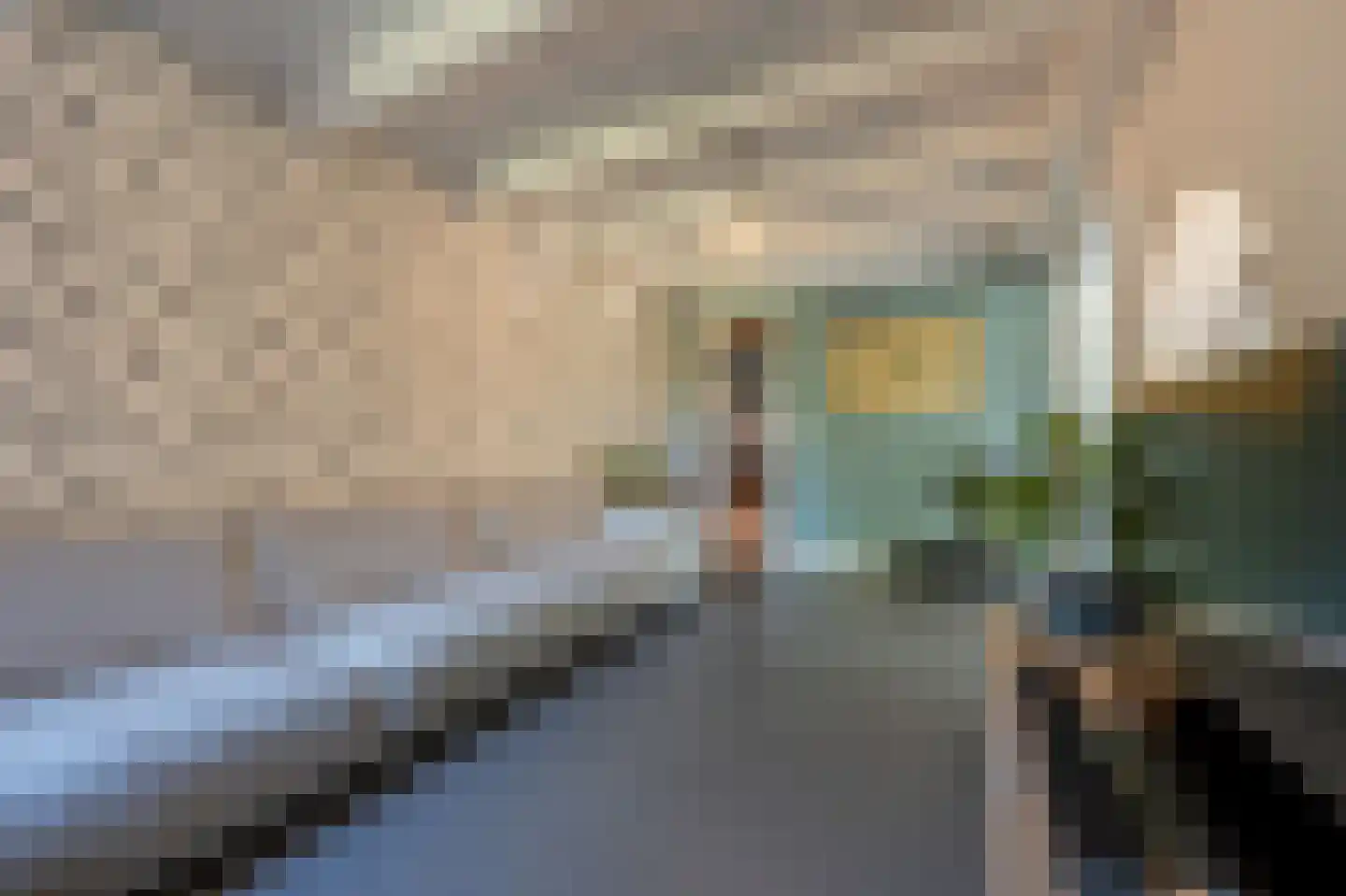 Goidschalxoordsedijk 51 Heinenoord thumbnail 6