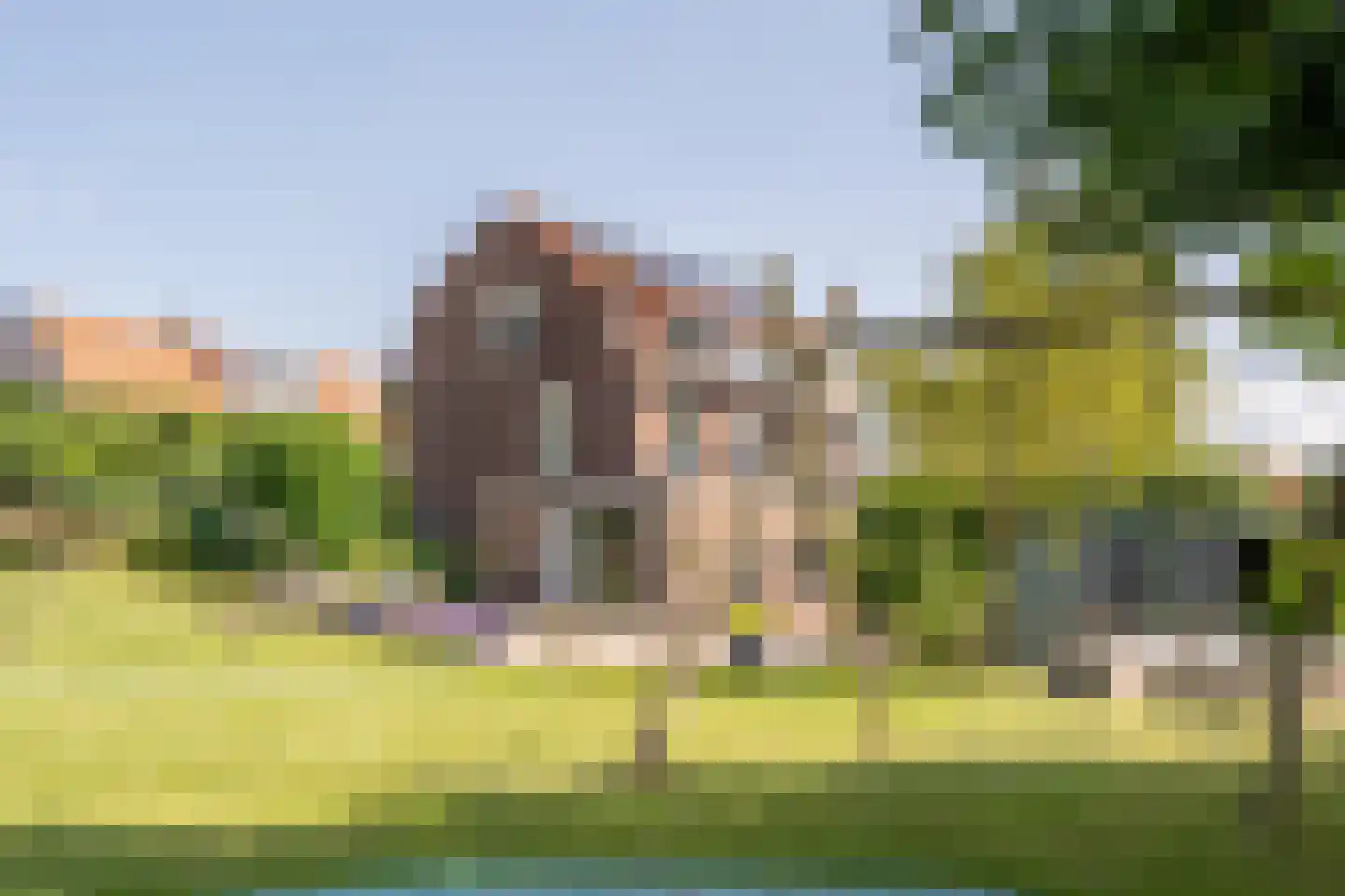 Goidschalxoordsedijk 51 Heinenoord thumbnail 60