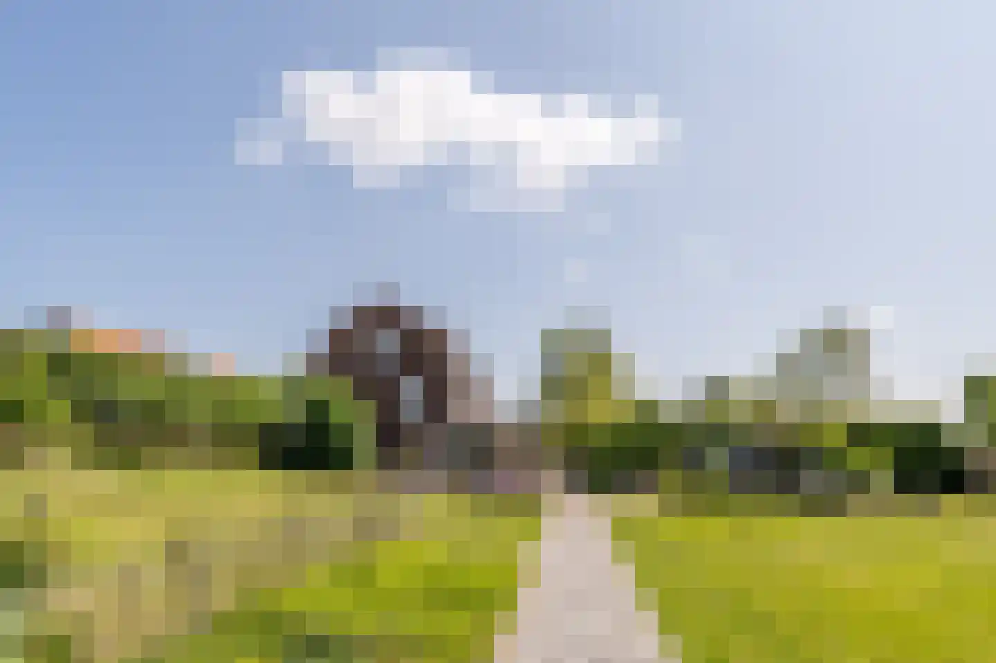 Goidschalxoordsedijk 51 Heinenoord thumbnail 62