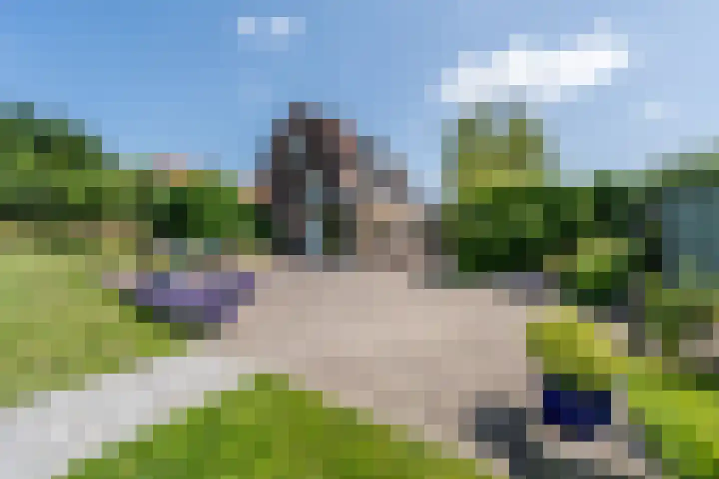 Goidschalxoordsedijk 51 Heinenoord thumbnail 63