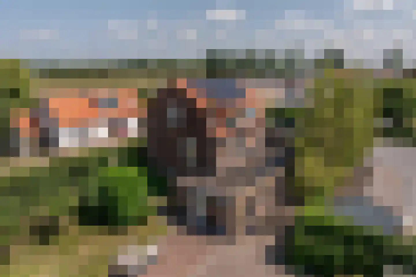 Goidschalxoordsedijk 51 Heinenoord thumbnail 65