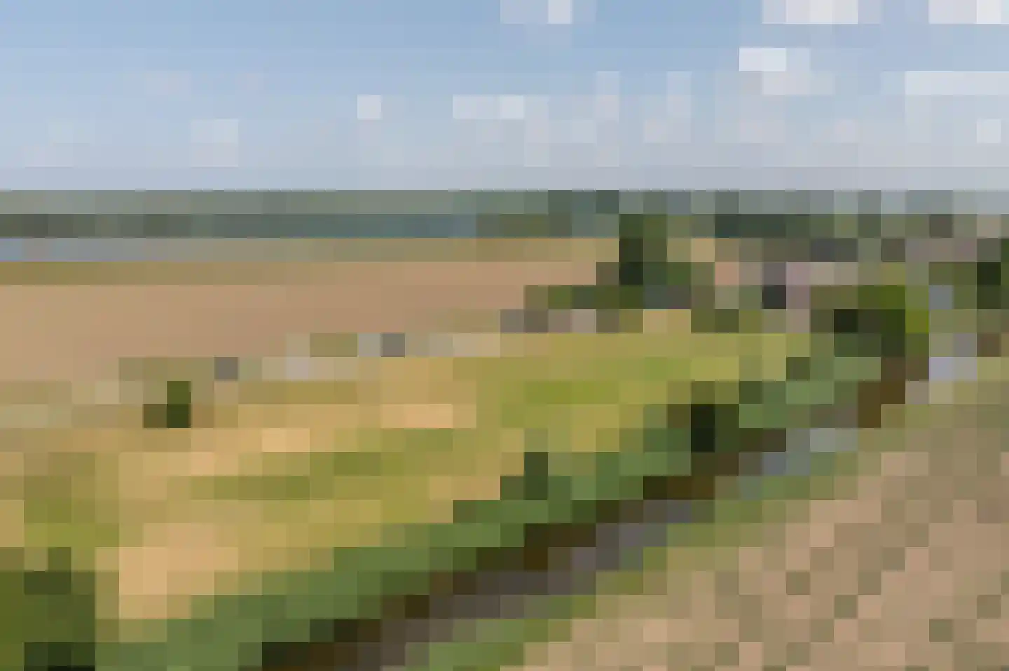 Goidschalxoordsedijk 51 Heinenoord thumbnail 68