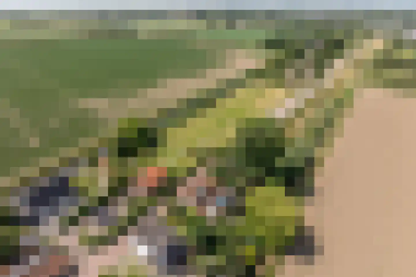 Goidschalxoordsedijk 51 Heinenoord thumbnail 70
