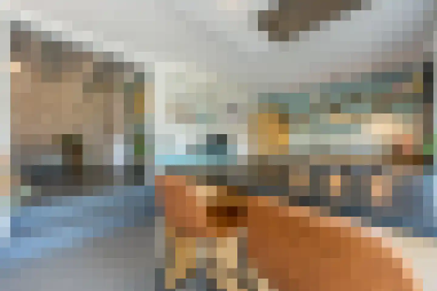 Goidschalxoordsedijk 51 Heinenoord thumbnail 9