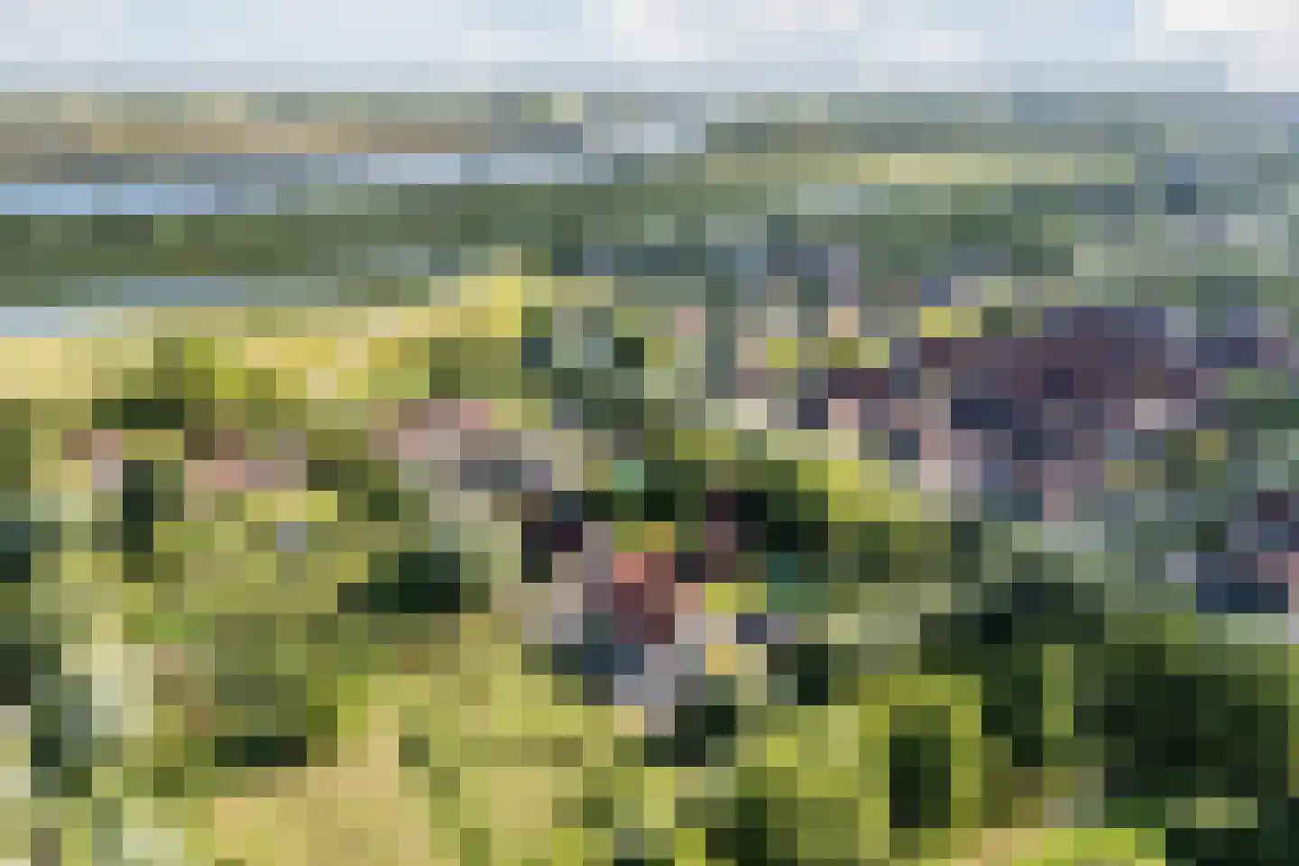 Goilberdingerdijk 22 Culemborg thumbnail 5