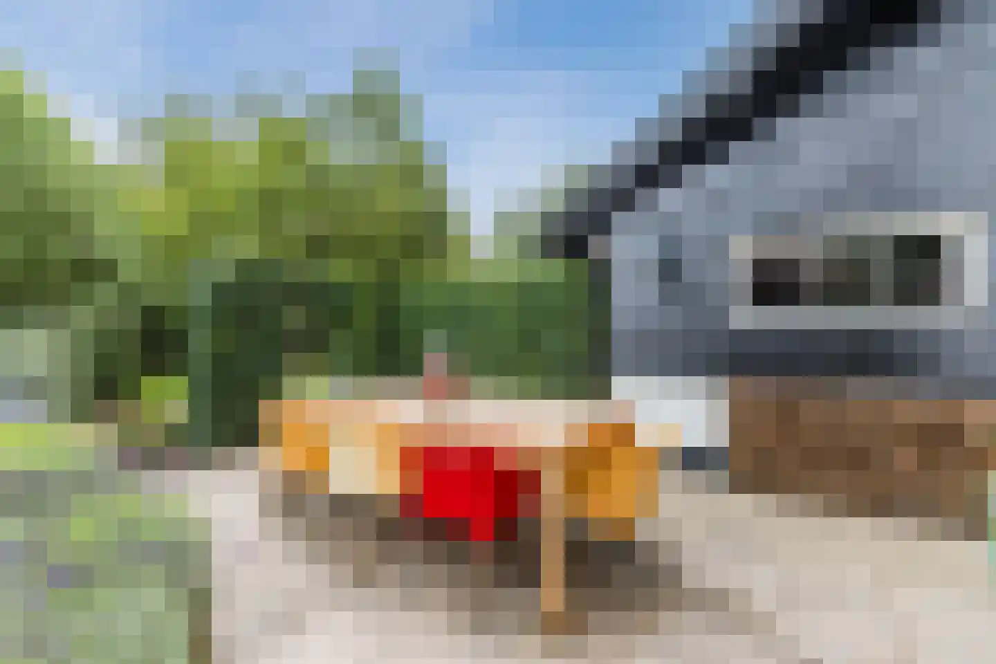 Goilberdingerdijk 22 Culemborg thumbnail 50