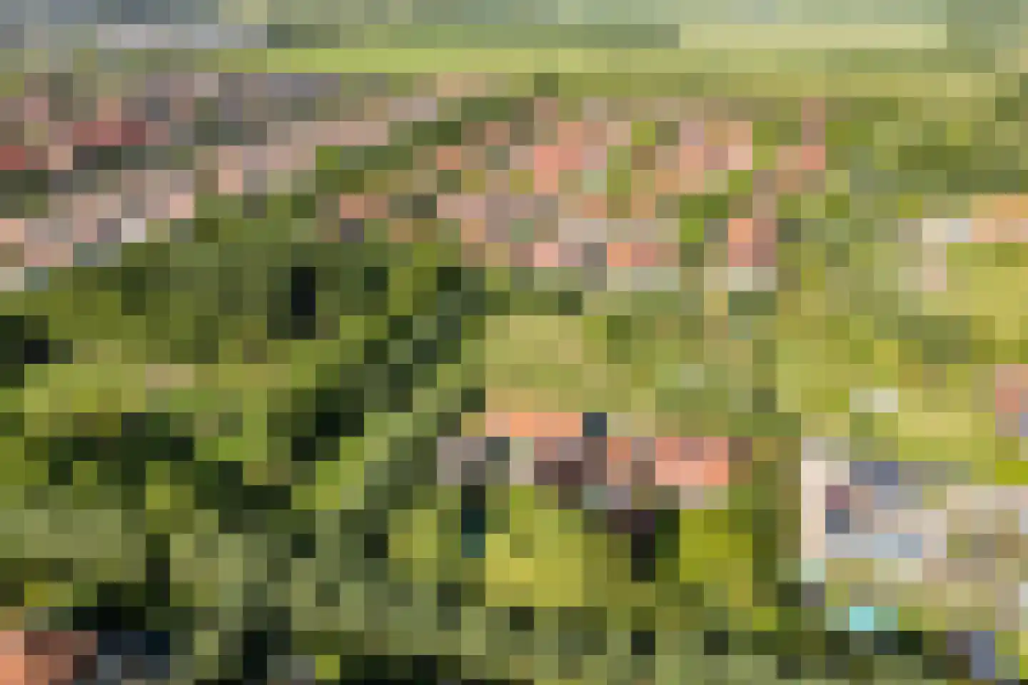 Goilberdingerdijk 22 Culemborg thumbnail 69
