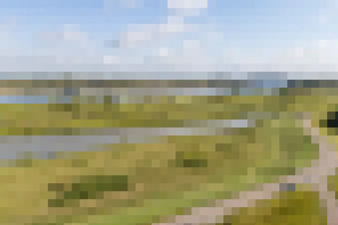 Goilberdingerdijk 22 Culemborg thumbnail 71