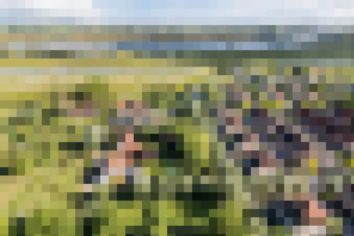 Goilberdingerdijk 22 Culemborg thumbnail 72