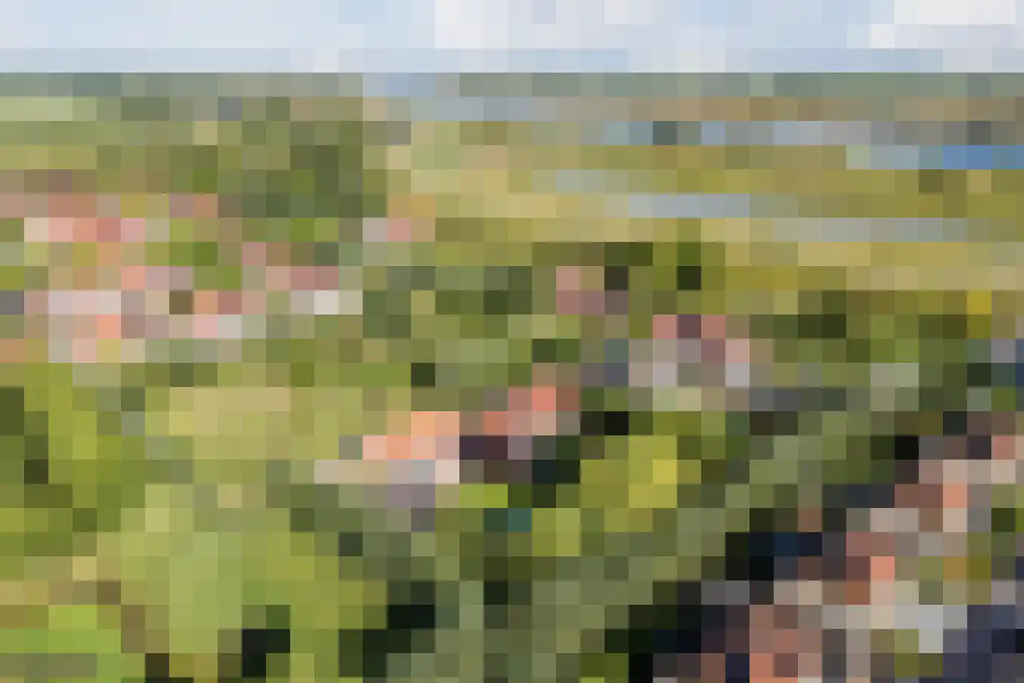 Goilberdingerdijk 22 Culemborg thumbnail 73