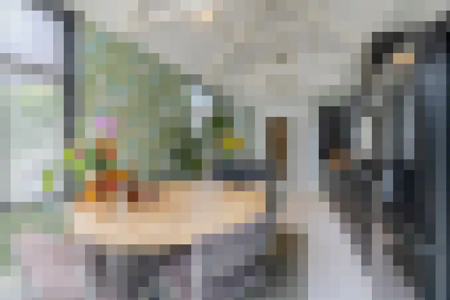 Goirkestraat 136 Tilburg thumbnail 12