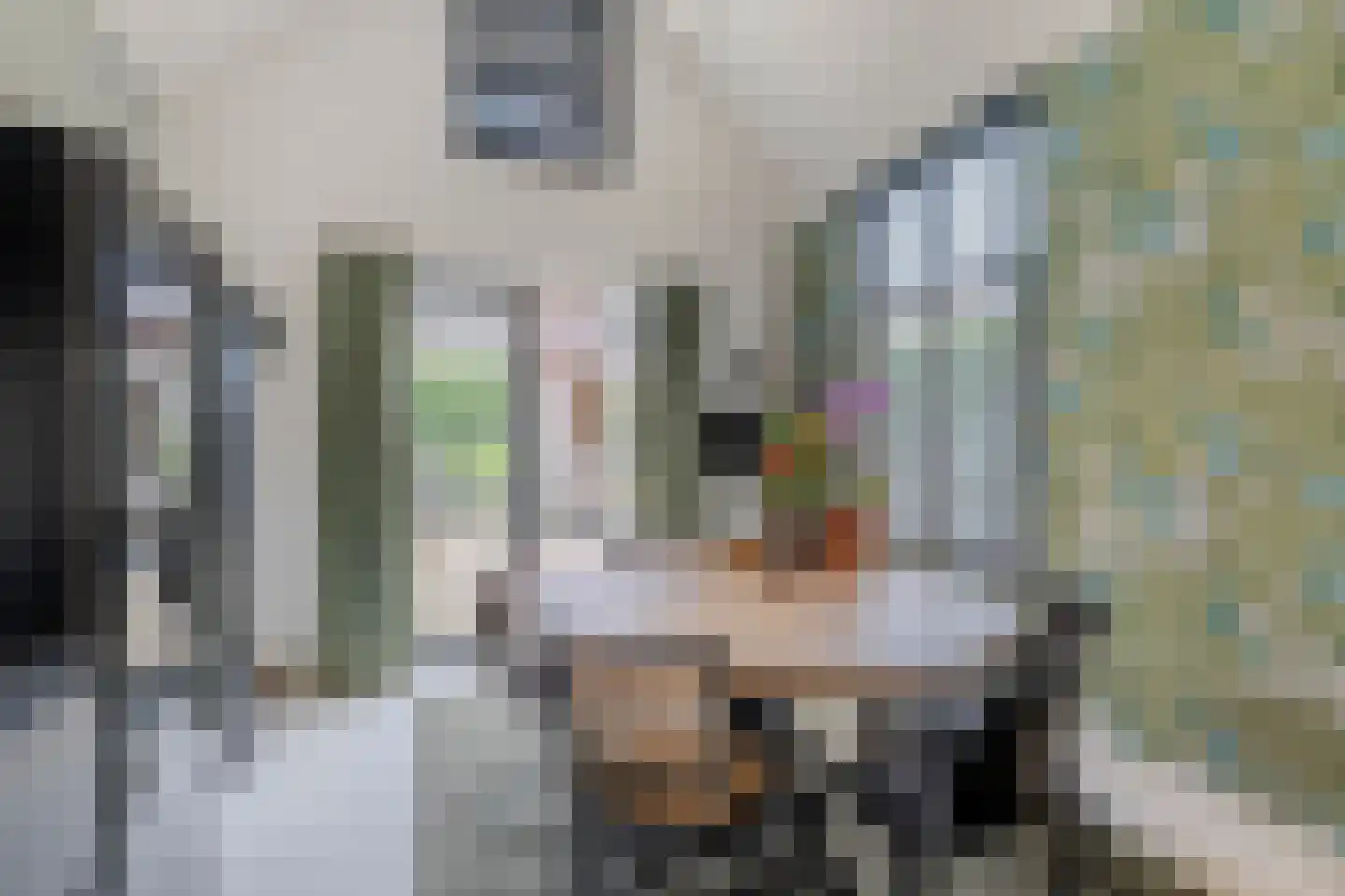 Goirkestraat 136 Tilburg thumbnail 13