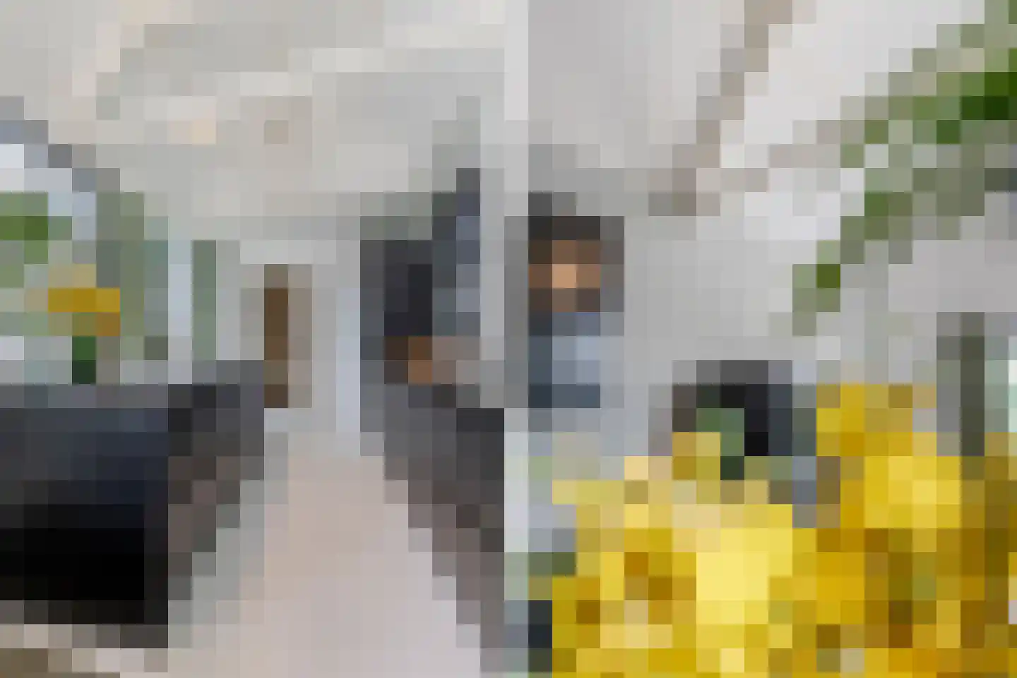Goirkestraat 136 Tilburg thumbnail 16