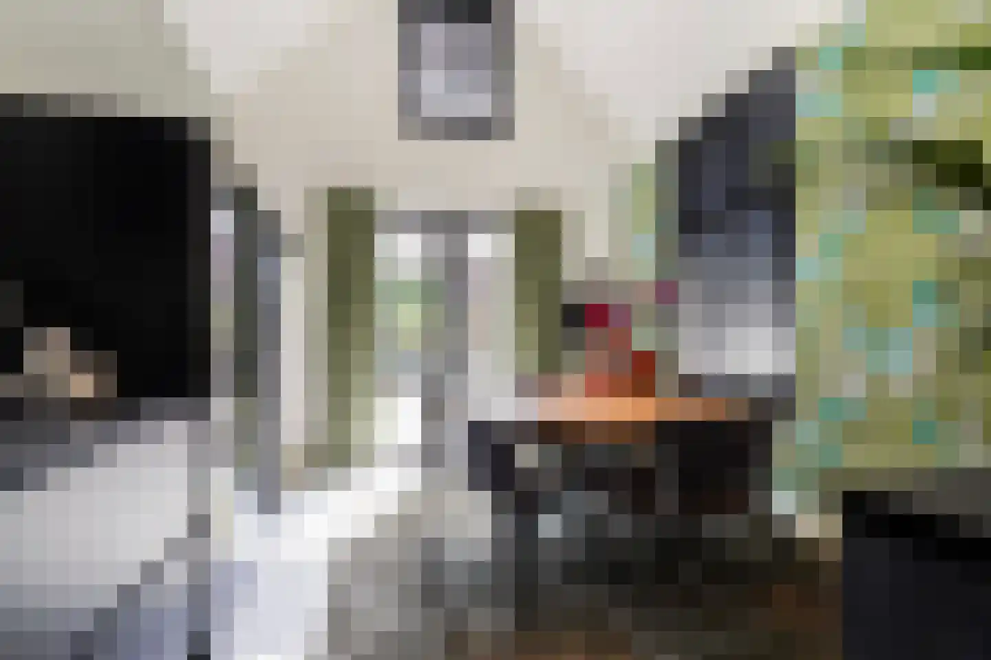 Goirkestraat 136 Tilburg thumbnail 17