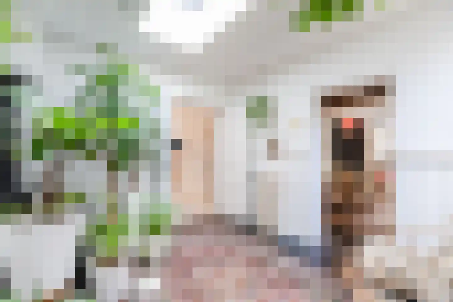 Goirkestraat 173 Tilburg thumbnail 13