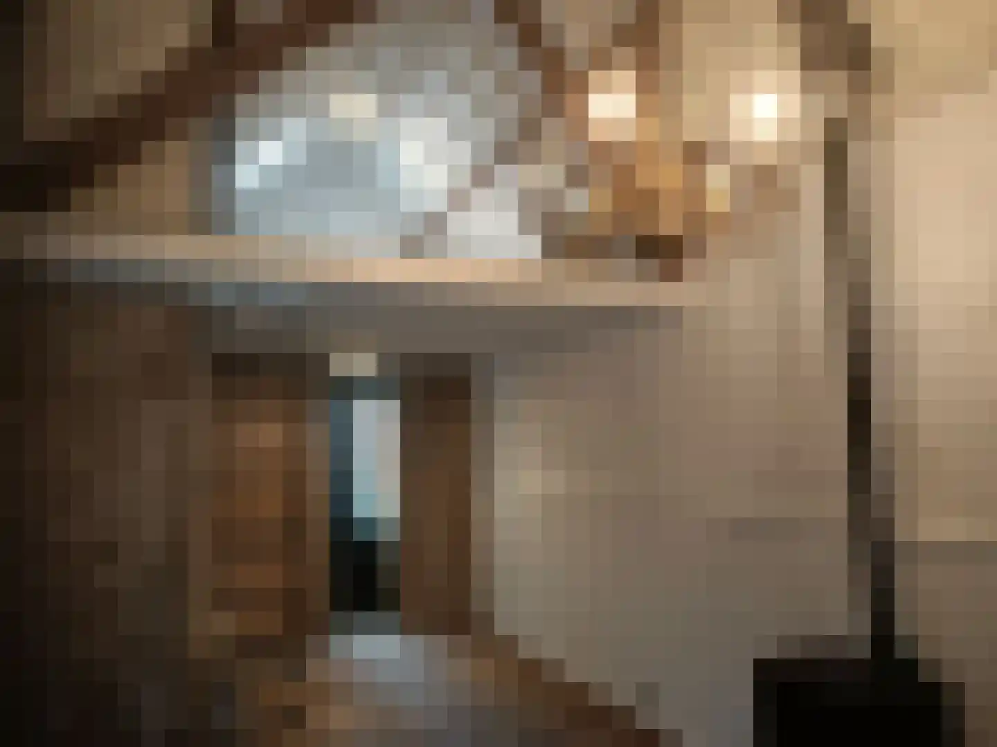 Goirkestraat 173 Tilburg thumbnail 36