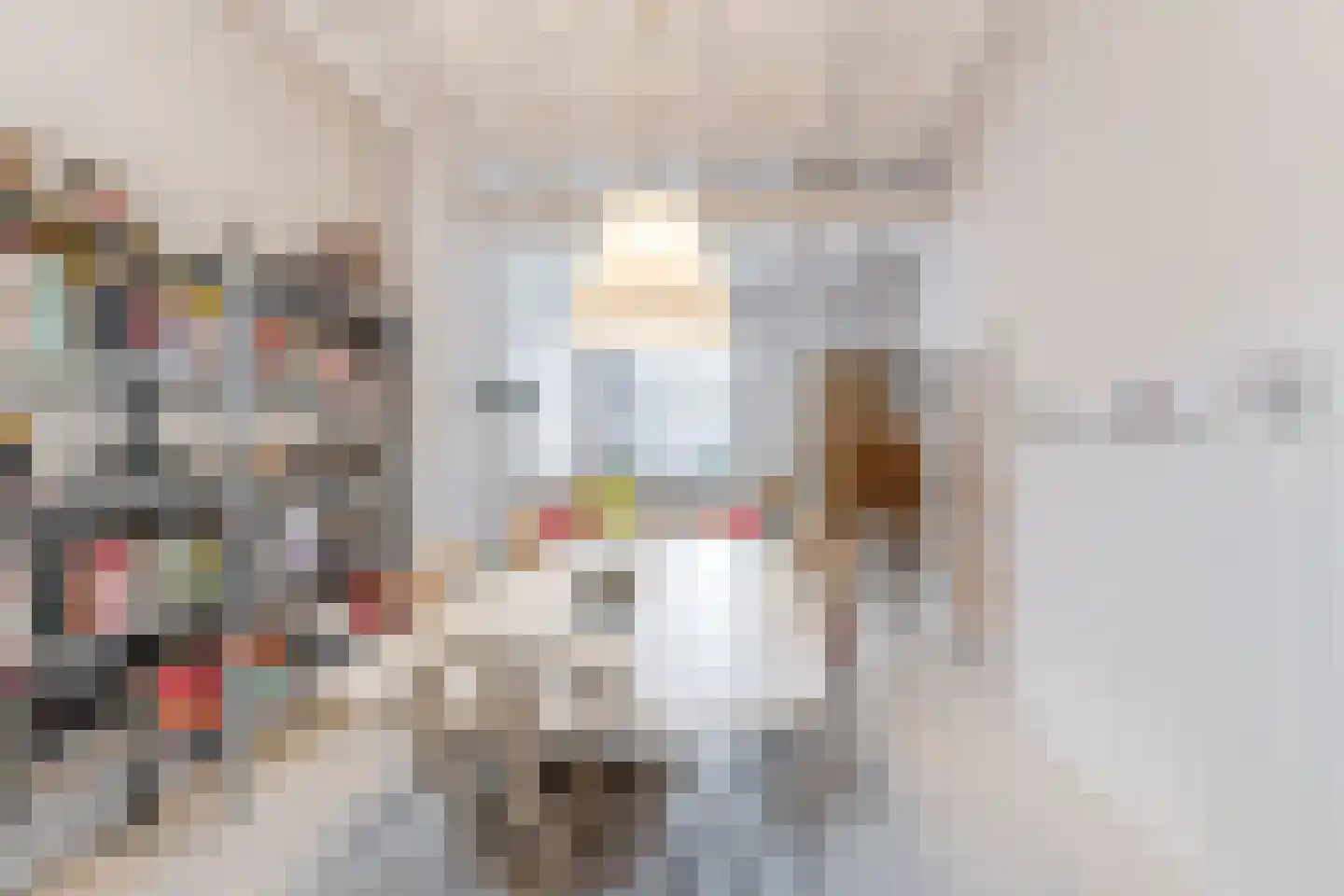 Goirkestraat 173 Tilburg thumbnail 4