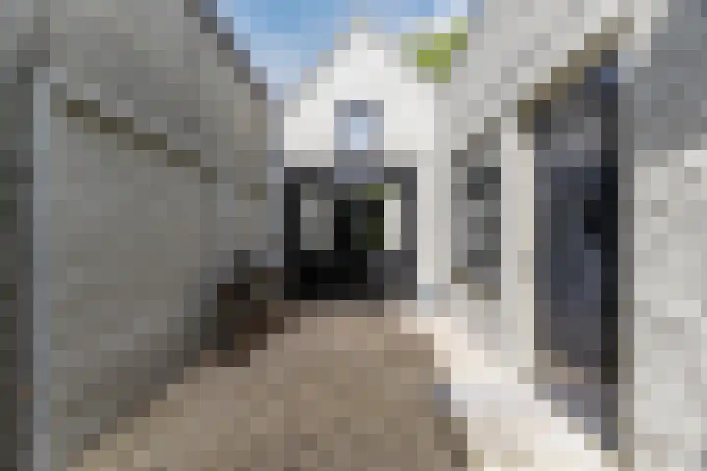 Goirkestraat 173 Tilburg thumbnail 50