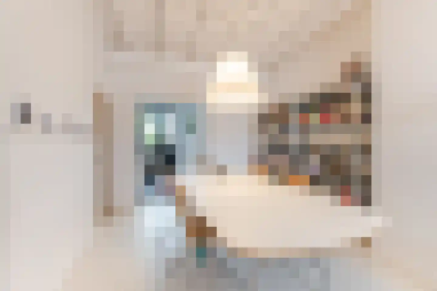 Goirkestraat 173 Tilburg thumbnail 7