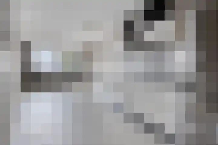 Goirkestraat 18 a Tilburg thumbnail 6