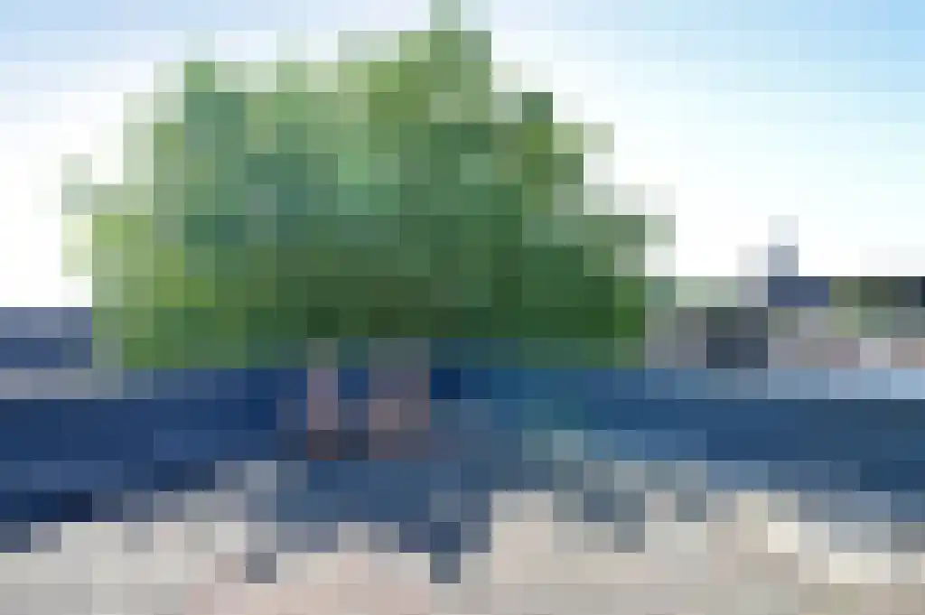 Goirkestraat 18 b Tilburg thumbnail 32