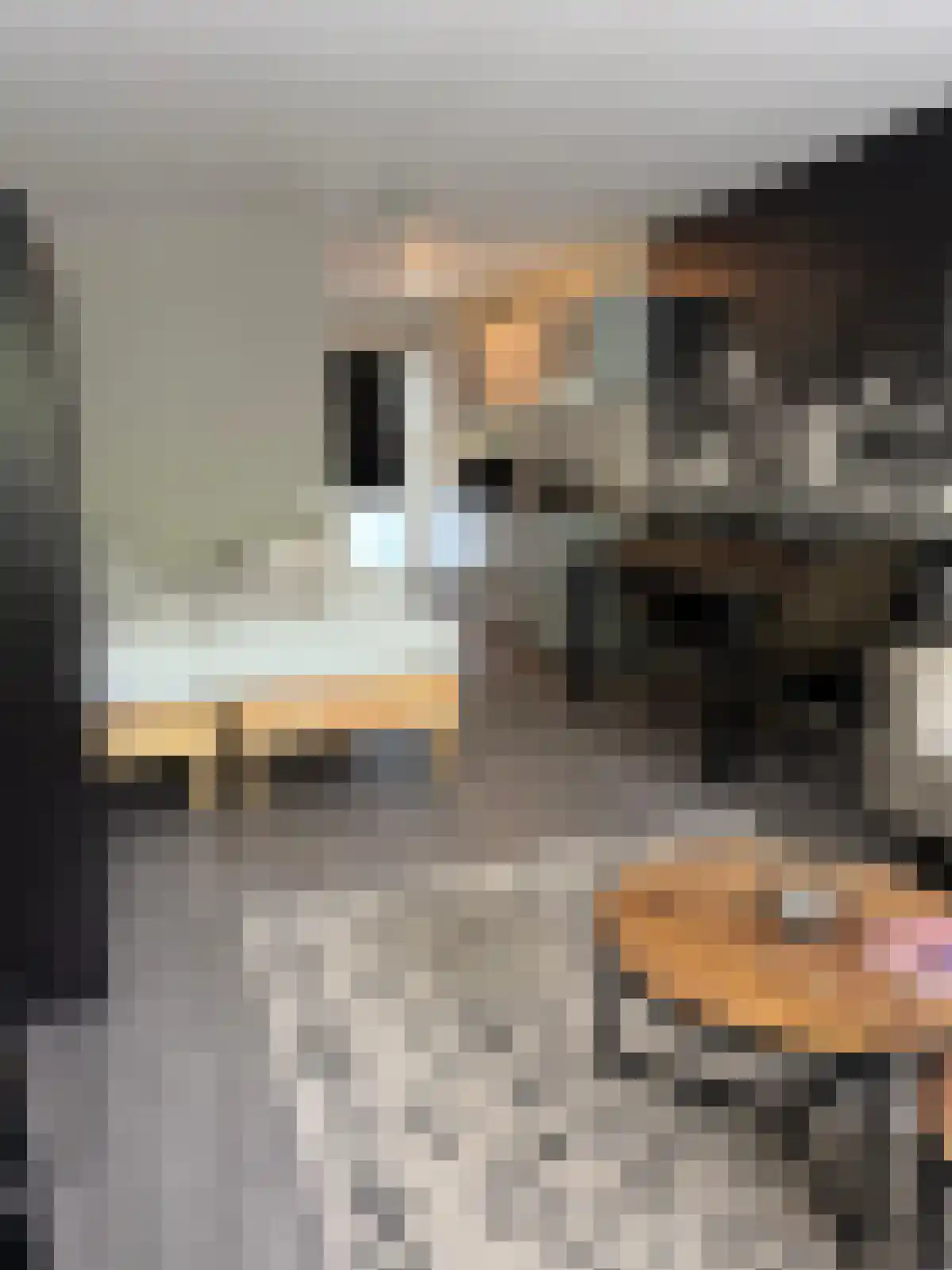 Goirkestraat 22 Tilburg thumbnail 4