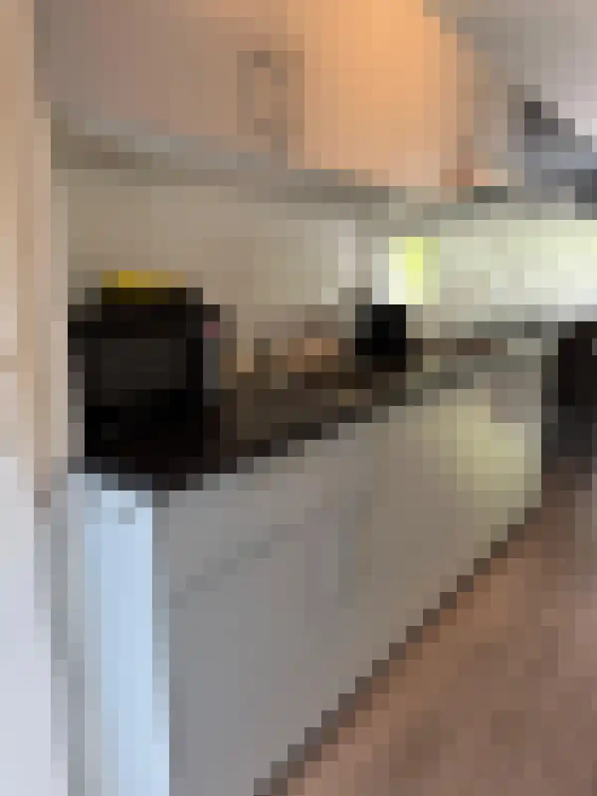 Goirkestraat 22 Tilburg thumbnail 6