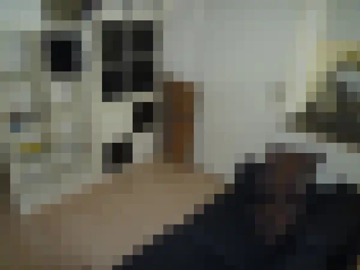 Goirkestraat 81 Tilburg thumbnail 5