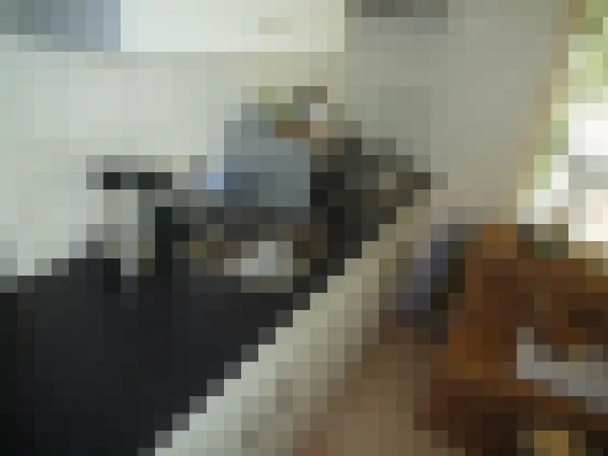 Goirkestraat 81 Tilburg thumbnail 6