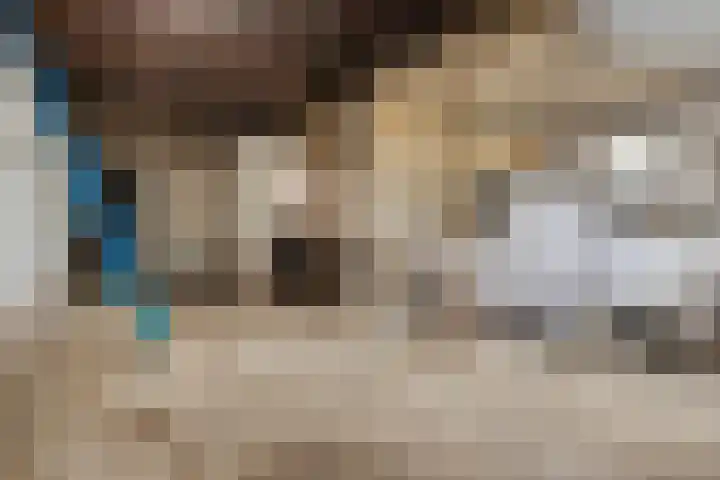 Goirlesedijk 5 Hilvarenbeek thumbnail 31