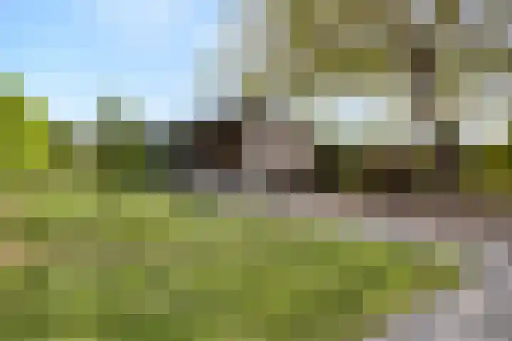 Goirlesedijk 5 Hilvarenbeek thumbnail 33