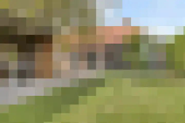 Goirlesedijk 5 Hilvarenbeek thumbnail 35