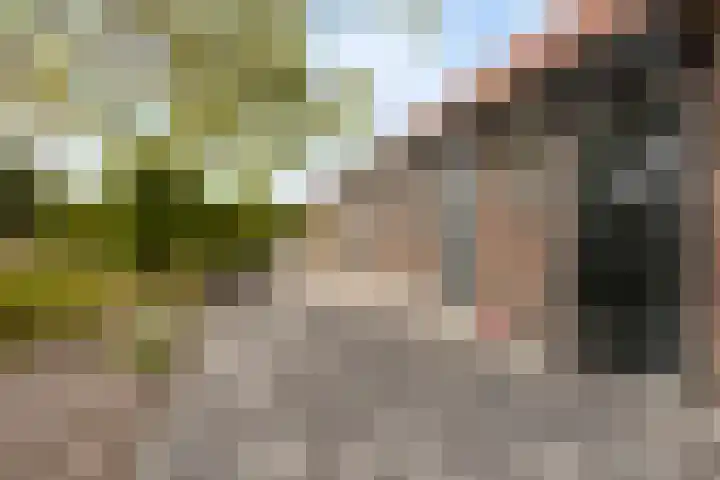 Goirlesedijk 5 Hilvarenbeek thumbnail 36