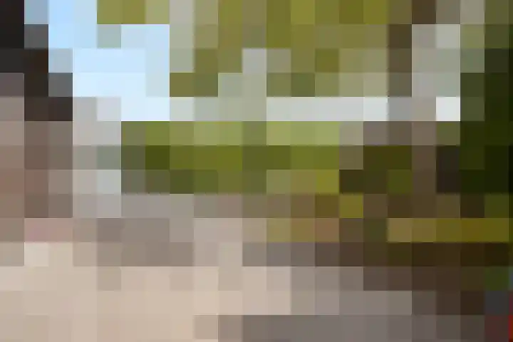 Goirlesedijk 5 Hilvarenbeek thumbnail 37