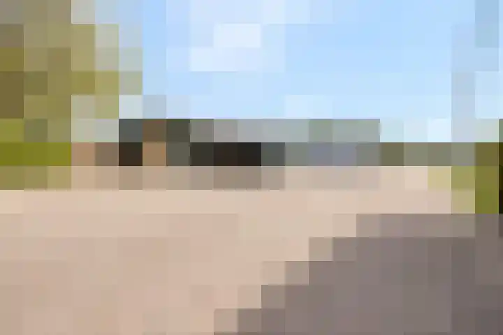 Goirlesedijk 5 Hilvarenbeek thumbnail 38
