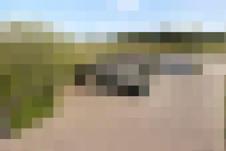 Goirlesedijk 5 Hilvarenbeek thumbnail 42