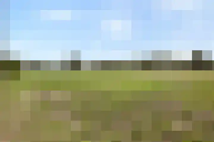 Goirlesedijk 5 Hilvarenbeek thumbnail 47