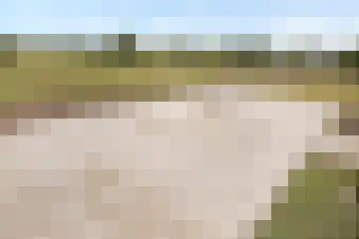 Goirlesedijk 5 Hilvarenbeek thumbnail 49