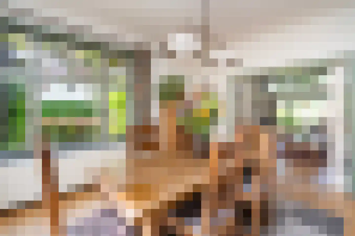 Goirleseweg 38 Tilburg thumbnail 23