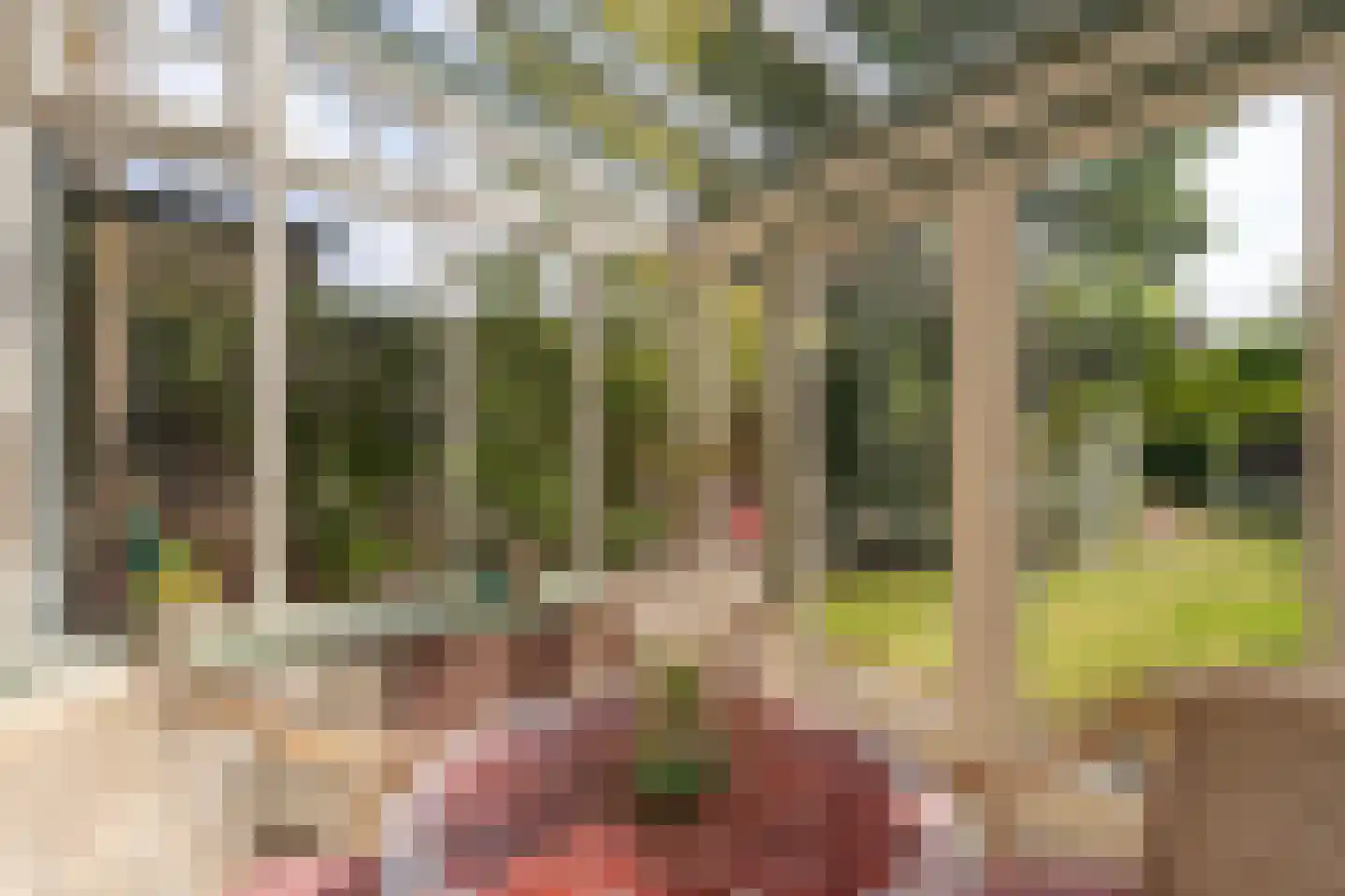 Goirleseweg 38 Tilburg thumbnail 29