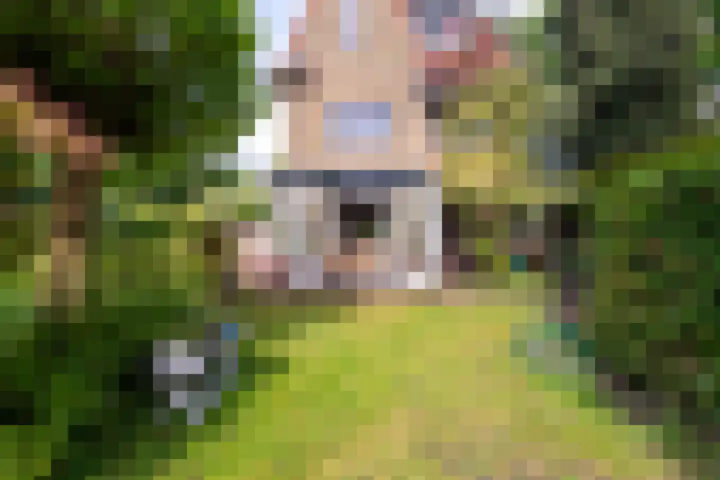 Goirleseweg 38 Tilburg thumbnail 35