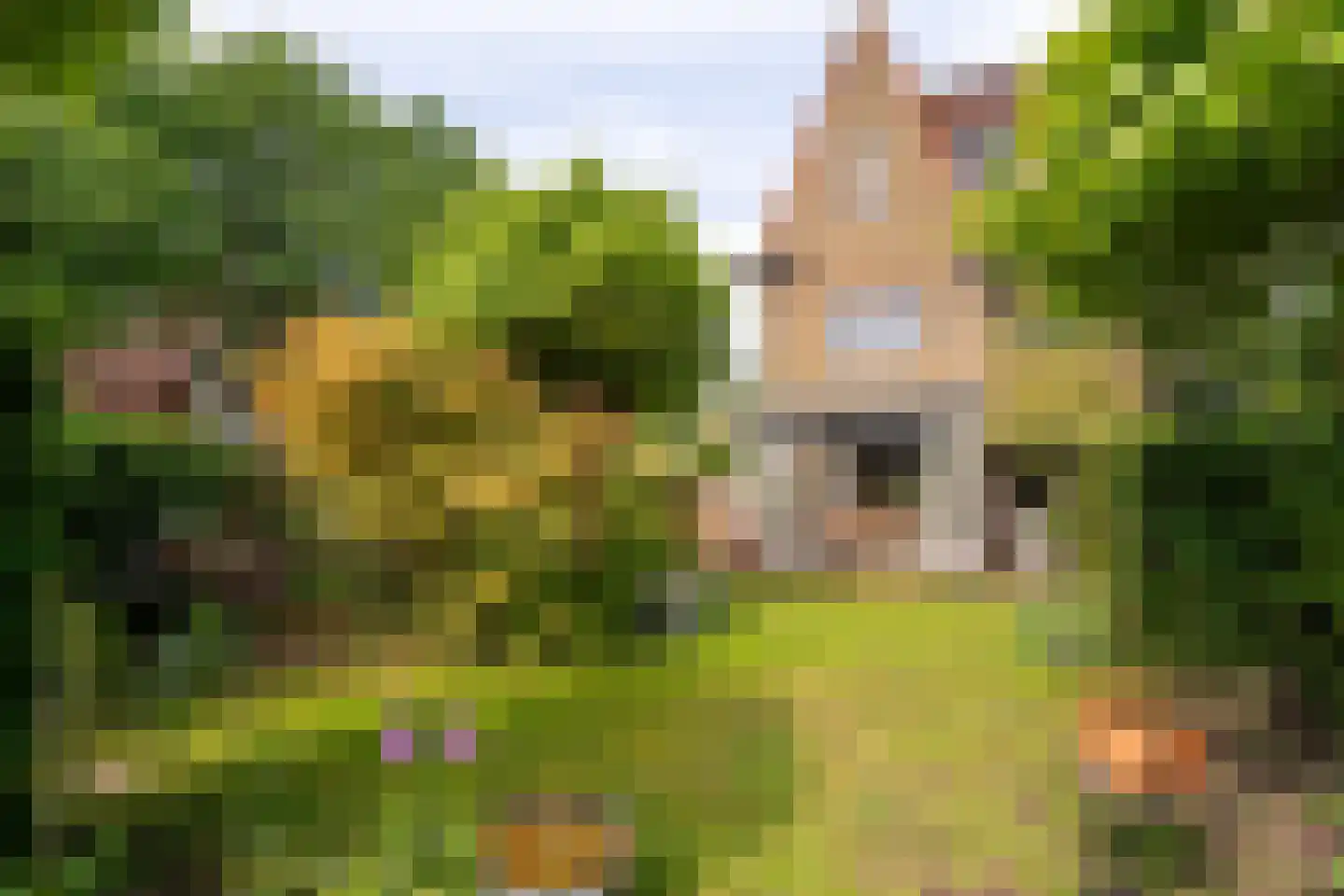 Goirleseweg 38 Tilburg thumbnail 36