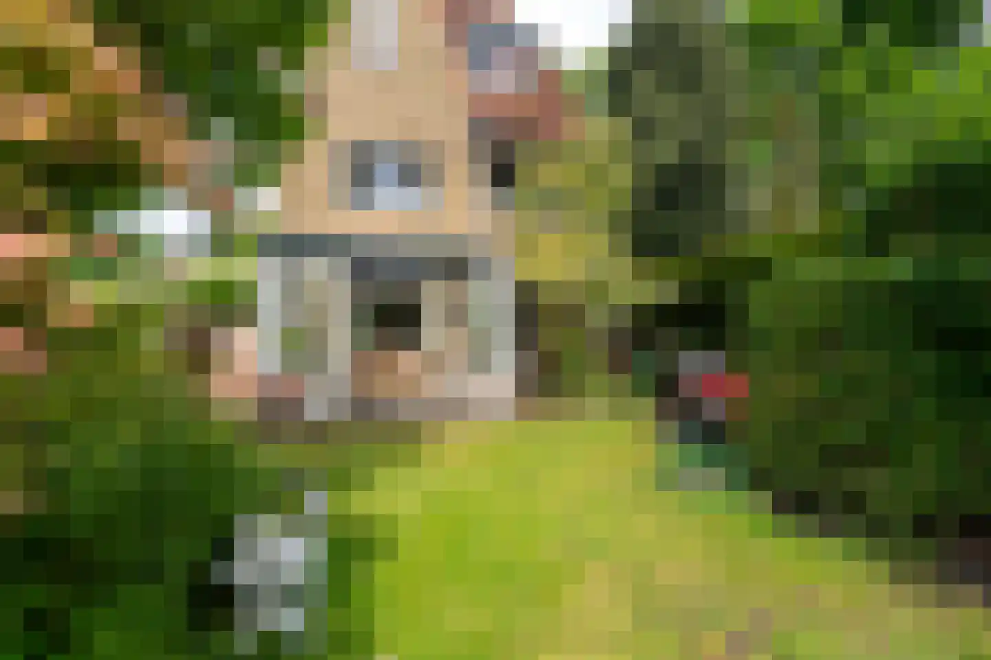 Goirleseweg 38 Tilburg thumbnail 37